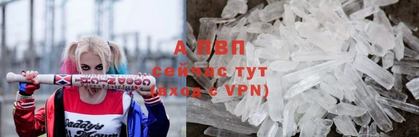 амф Вяземский