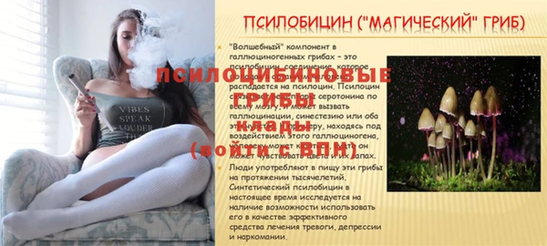 ешки Надым