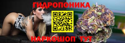 СК Апшеронск
