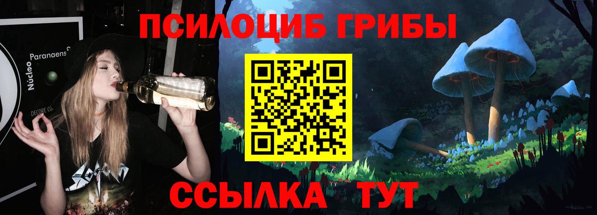 Галлюциногенные грибы мухоморы  Псилоцибиновые грибы Cubensis  где купить наркоту  Ахтубинск 