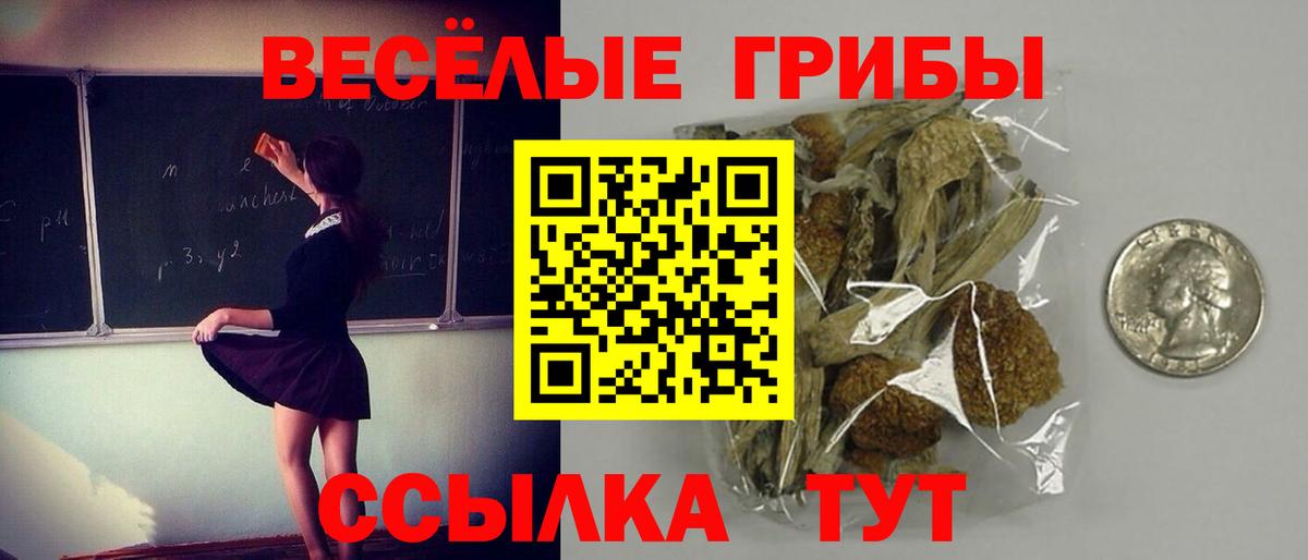 Ахтубинск  Галлюциногенные грибы мухоморы  Вход с VPN 