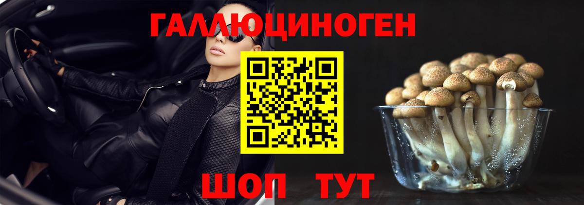 Галлюциногенные грибы GOLDEN TEACHER Ахтубинск