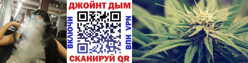 Марихуана план  закладка  Ахтубинск 